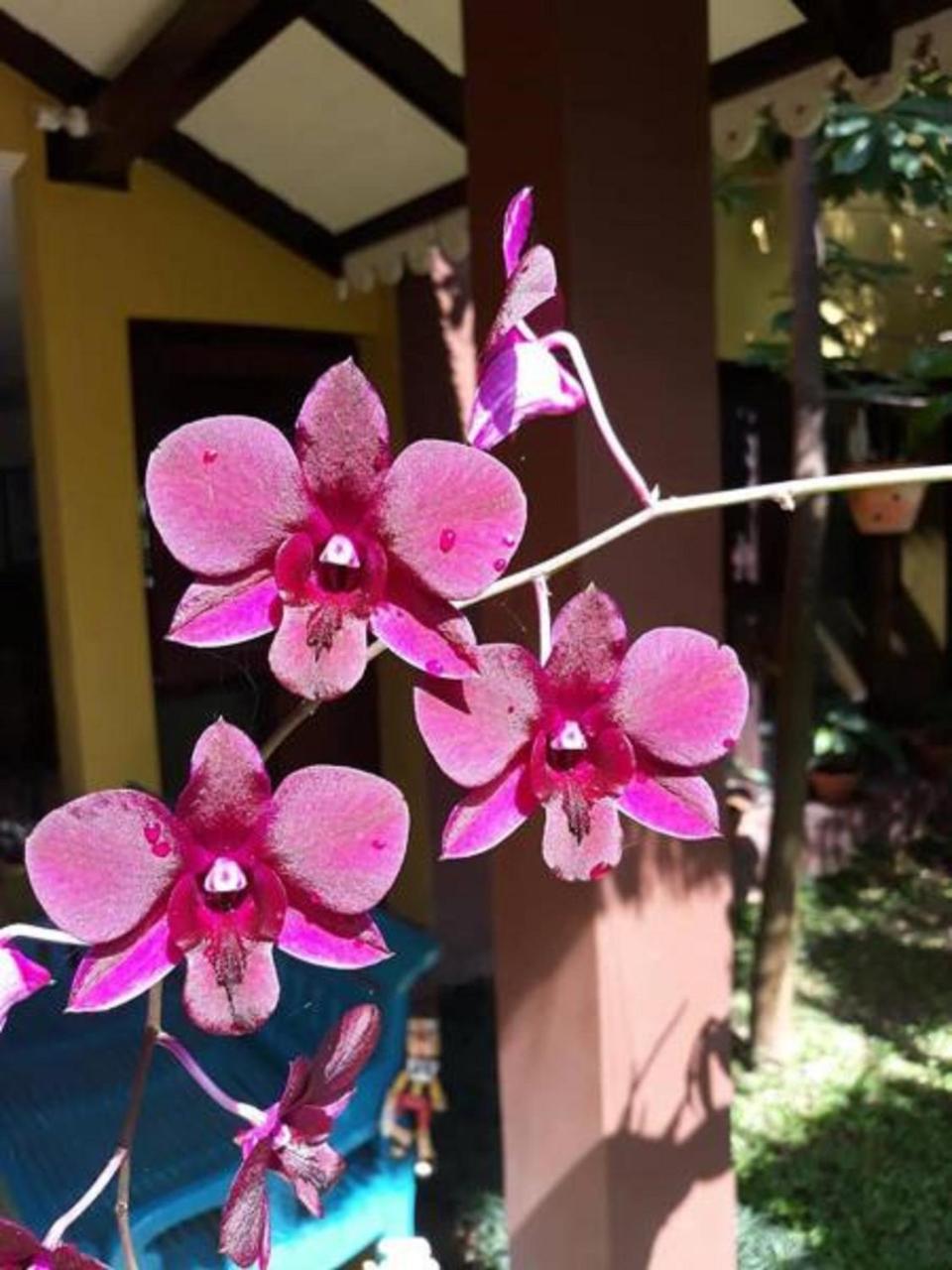 Thanakha Inle Hotel Науншве Екстер'єр фото